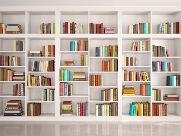 Bookshelf Assembly in Glenview